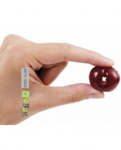 Cherry Seed Remover Online in Pakistan 6