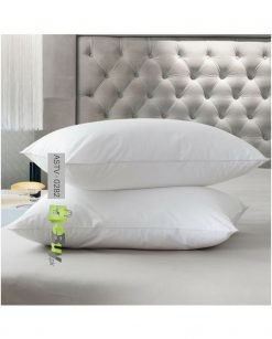 Comfort Pillow - Pack Of 2 Online in Pakistan 2