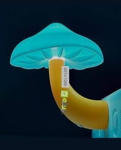 Cute Mini Mosquito Repellent Mushroom Lamp Online At Best Price In Pakistan