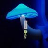 Cute Mini Mushroom Lamp Online At Best Price In Pakistan