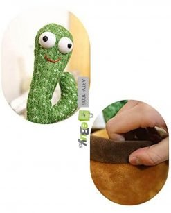 Dancing And Talking Cactus