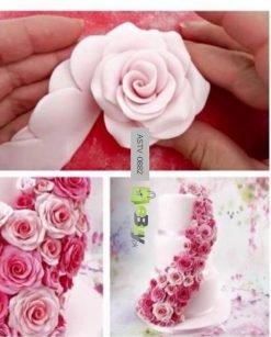 Easiest Ever Rose Cutter Set online at best price in Pakistan