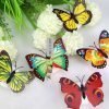 LED Light Butterfly Sticker Online Best Price In Pakistan