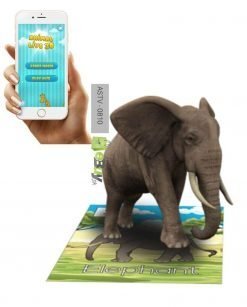 Live 3D Flash Cards For Kids Online At Best Price In Pakistan