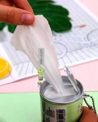 Mini Wet Tissue Wipes Can At Best Price In Pakistan