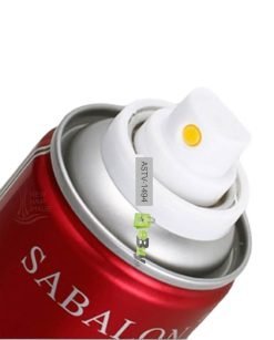 SBAION Hair Spray Long Lasting For Men Women Price In Pakistan