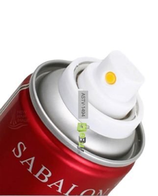 SBAION Hair Spray Long Lasting For Men Women Price In Pakistan