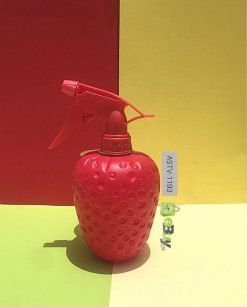 Strawberry Shape Water Spray Bottle online at best price in Pakistan